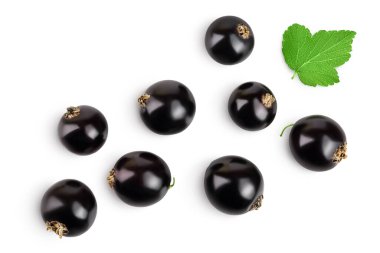 Kırpma yolu ile beyaz arka planda izole yaprakları olan siyah frenk üzümü. Üst Manzara. Düz uzanma deseni