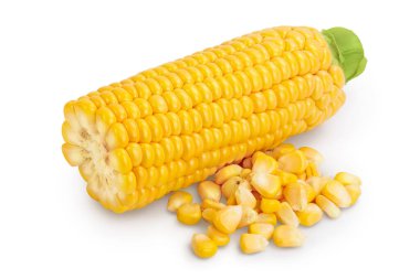 Beyaz arka planda izole edilmiş mısır kulağı. Kesme yolu ve tam alan derinliği