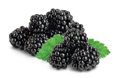 Blackberry beyaz bir arkaplanda izole edilmiş. Kesme yolu ve tam alan derinliği