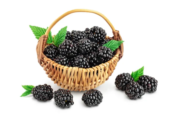 Blackberry with leaf in a wicker basket isolated on a white background closeup. Clipping path and full depth of field — Stock Photo, Image