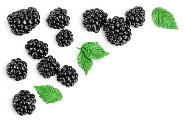 黑莓被隔离在白色的背景特写中。收割路径和全场深度。顶部视图。平躺在床上 — 图库照片