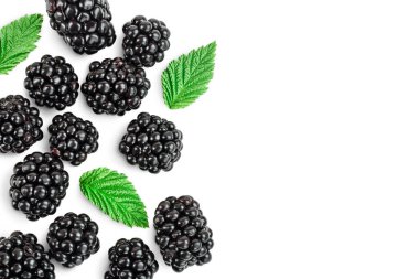 Blackberry beyaz bir arkaplanda izole edilmiş. Kesme yolu ve tam alan derinliği. Üst Manzara. Düz yatıyordu