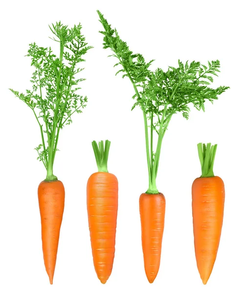 Zanahoria aislada sobre fondo blanco con recorrido de recorte y plena profundidad de campo. Vista superior. Puesta plana — Foto de Stock