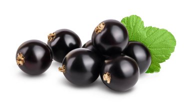 Kırkma yolu ve tam derinlik alan ile beyaz arkaplanda izole yapraklar ile siyah frenk üzümü