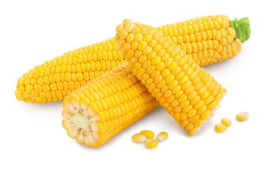 Beyaz arka planda izole edilmiş mısır kulağı. Kesme yolu ve tam alan derinliği