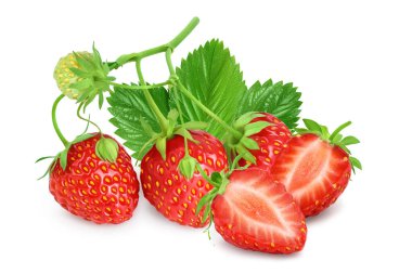 Çilekli ve beyaz arka planda yarı izole. Taze böğürtlen ve geniş bir alan.