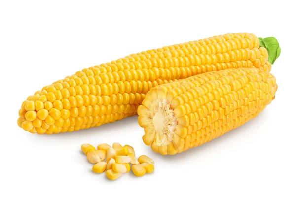 Mazorca de maíz aislada sobre fondo blanco. Sendero de recorte y profundidad completa de campo —  Fotos de Stock