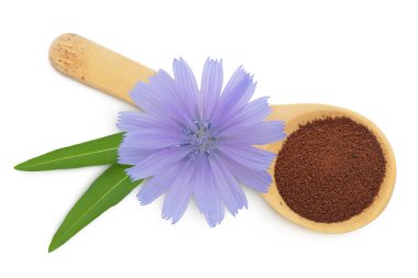 Tahta kaşıkta hindiba tozu ve beyaz arka planda izole edilmiş çiçek. Cichorium intybus. Üst Manzara. Düz yatıyordu.