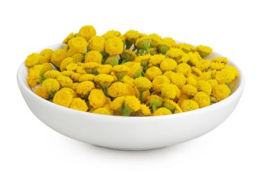 Beyaz arka planda izole edilmiş seramik kasedeki Tansy çiçeği ya da Tanasetum vulgare.