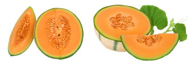 Cantaloupe melon half isolated on white background with full depth of field. Top view. Flat lay.