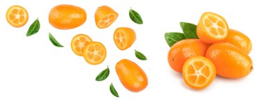 Metin için kopya alanı ile beyaz arka planda izole dilimler ile cumquat veya Kumquat. Üst görünüm. Düz yatma.