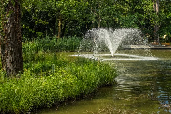 Parque Aire Libre Verano Con Lago Fuente Tiempo Día Brillante — Foto de Stock