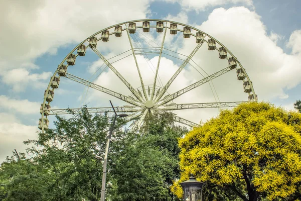 Ferris Wheel Trees — Stock Photo, Image