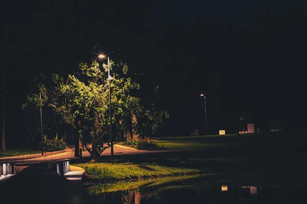 Nuit Parc Extérieur Avec Lanterne Arbre Près Bord Lac — Photo