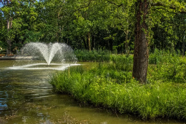 Verde Parque Aire Libre Verano Con Fuente Pequeño Lago — Foto de Stock