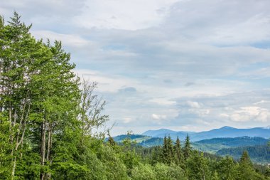yumuşak renkler dağlar doğa manzara orman