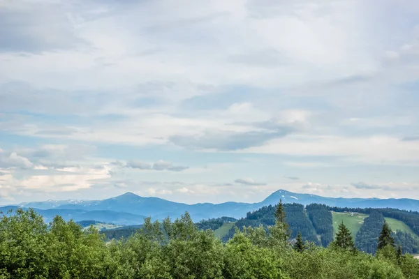 yumuşak renkler dağlar doğa manzara orman