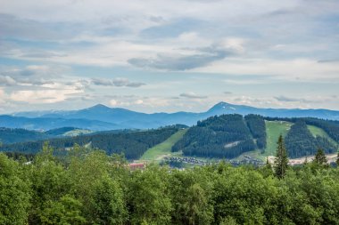 Orman Doğa Dağ manzarası