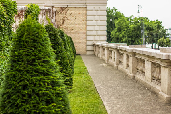 small green summer alley way park with trees and concrete trail