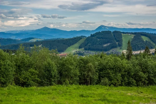 Orman dağ tepe doğa manzarası