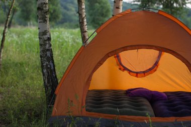 yumuşak odak turuncu çadır kavramı kimse ile doğa yeşil yaz orman çevre üzerindeki 