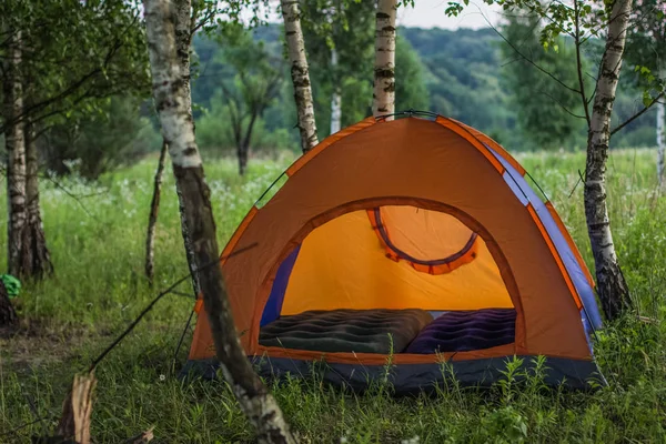 Foco Suave Conceito Barraca Laranja Natureza Verde Verão Floresta Ambiente — Fotografia de Stock