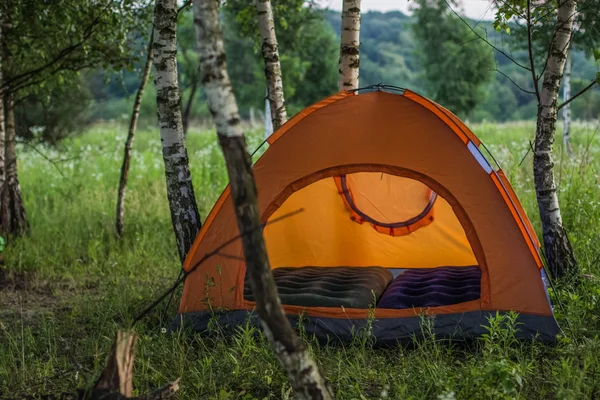 Отдых Путешествия Концепция Оранжевой Палаткой Зеленой Природе Лесной Среды Яркое — стоковое фото