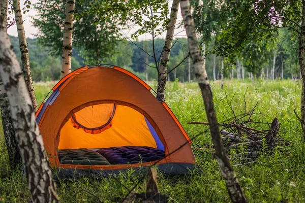 dinlenmek ve yeşil doğa orman çevre üzerindeki turuncu çadır konseptiyle parlak yaz renkli sabah saat seyahat.