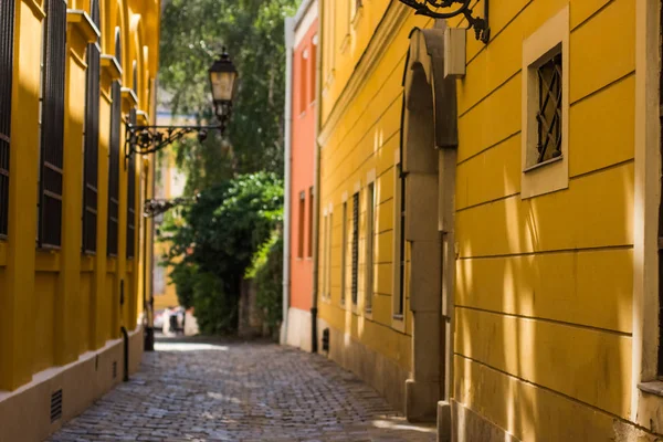 Soft Focus Kleine Leere Europäische Allee Konzept Hellen Sommertag — Stockfoto