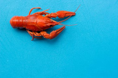 Mavi kesme tahtası yiyecek ve içecek kavramı kopya veya metin için boş alan ile bir haşlanmış kerevit