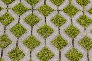 Soyut simetri beton zemin çim konsepti ile