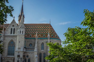 Gotik katedral cephe ve çatı yaz saati parlak renkli günde yeşil ağaçların dalları arasında