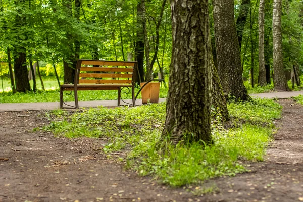 夏緑の自然屋外公園の木製ベンチとコンクリートの空道路 — ストック写真