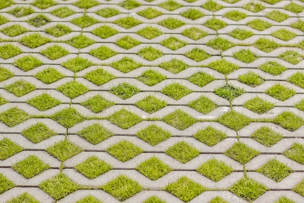 Soyut simetri beton zemin çim konsepti ile