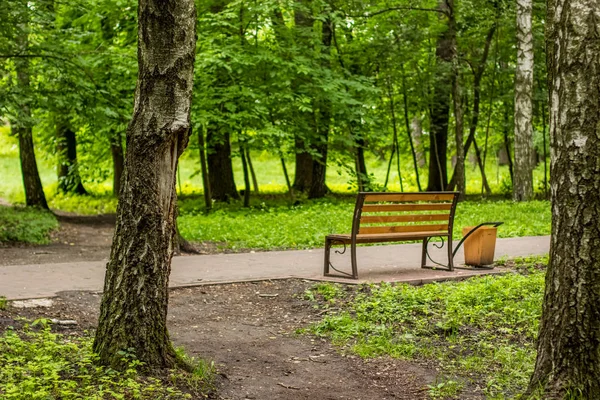 夏緑の自然屋外公園の木製ベンチとコンクリートの空道路 — ストック写真