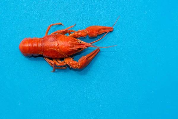 mavi kesme tahtası yiyecek ve içecek kavramı kopya veya metin için boş alan ile haşlanmış kerevit