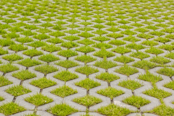 abstract concrete floor background texture with peaces of green grass and empty space for copy or text