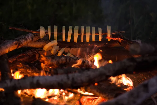 Camping Rest Hobby Concept Soft Focus Zucchini Bonfire Night Time — Stock Photo, Image