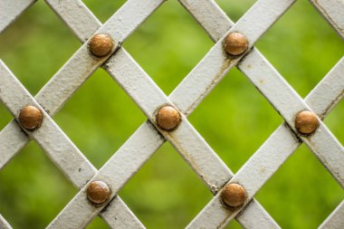 paslı zavallı metal çit çerçeve ve yeşil odaklanmamış arka plan kavramı kopya veya metin için boş alan ile