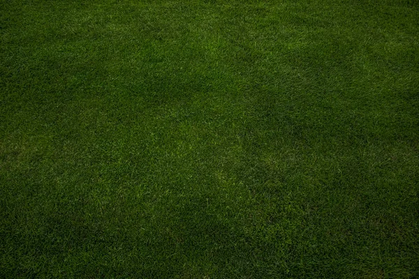 Textura Fondo Hierba Verde Fútbol Sintético Enfoque Suave Con Espacio —  Fotos de Stock