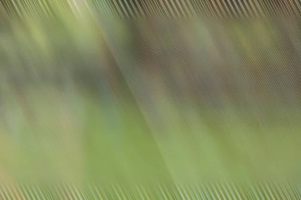 Abstrakte Unkonzentrierte Grüne Natur Gestreift Design Hintergrundkonzept Rahmen Mit Leerem — Stockfoto