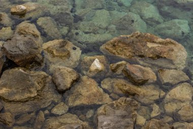deniz kıyısında yüzey ve taş yakın ve su doğa konsepti altında kopya veya metin için boş alan