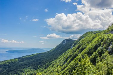 kopya veya metin boşluk cennet deniz doğa kavramı manzara orman odak yumuşak çevre