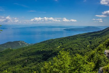 kopya veya metin boşluk cennet deniz doğa kavramı manzara orman odak yumuşak çevre