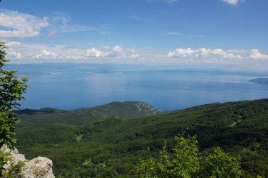 kopya veya metin boşluk cennet deniz doğa kavramı manzara orman odak yumuşak çevre