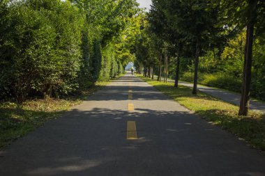 Yaz aylarında yeşil ağaçlar arasında sarı işaretleme ile bisiklet yolu açık park