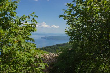 deniz waterfront orman dağ yaz doğa güzel manzara yukarıdan