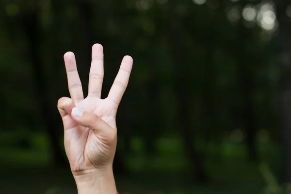 Segni Simboli Persone Con Disabilità Muto Sordo Concetto Alfabeto Dattilo — Foto Stock