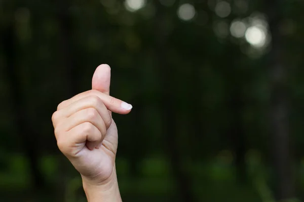 Segni Simboli Persone Con Disabilità Muto Sordo Concetto Alfabeto Dattilo — Foto Stock