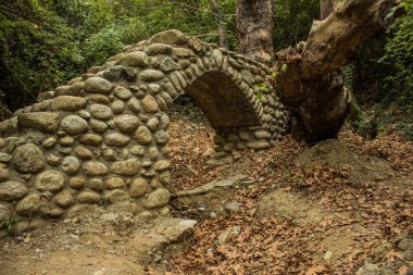 vahşi doğa derin orman yeşil doğal manzara çevre beton taş köprü ve merdiven terk edilmiş bina nesnesi ile 
